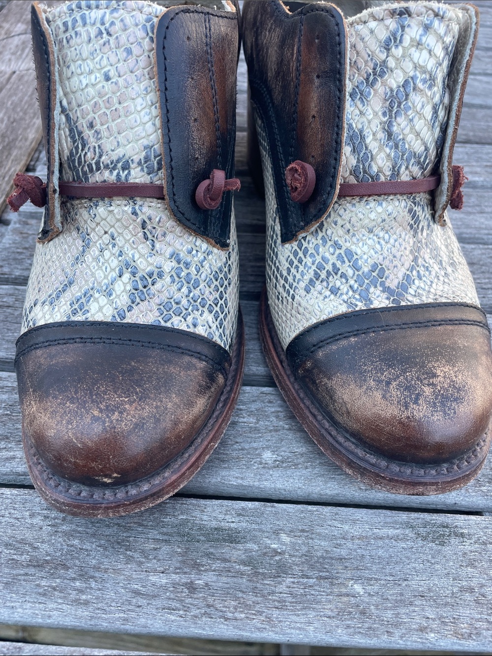 Freebird by Steven Sz 8 Catalina Brown & Cream Snake-Print Leather Heeled Oxford - Picture 13 of 15